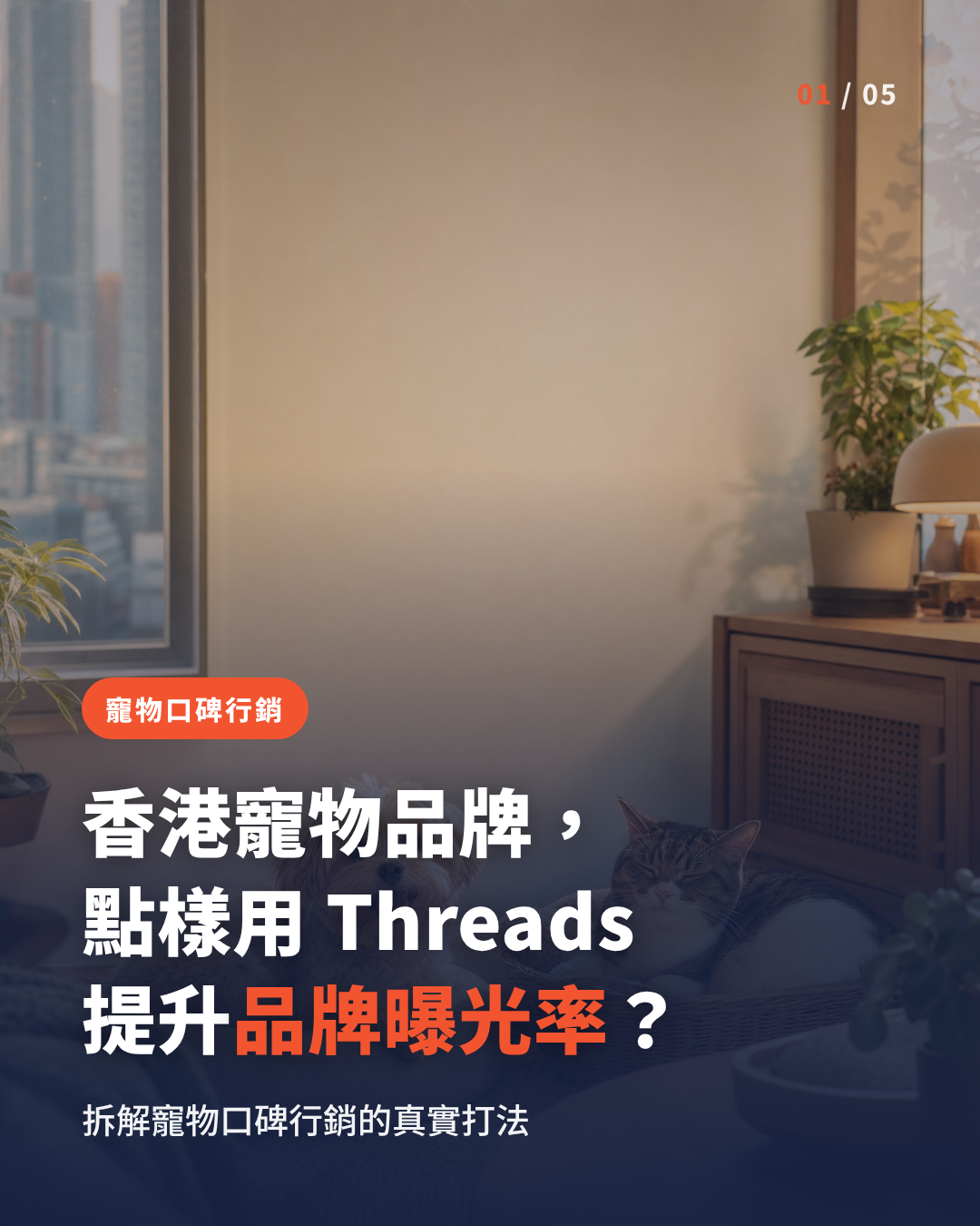How Hong Kong pet brands use Threads word-of-mouth marketing to boost brand exposure